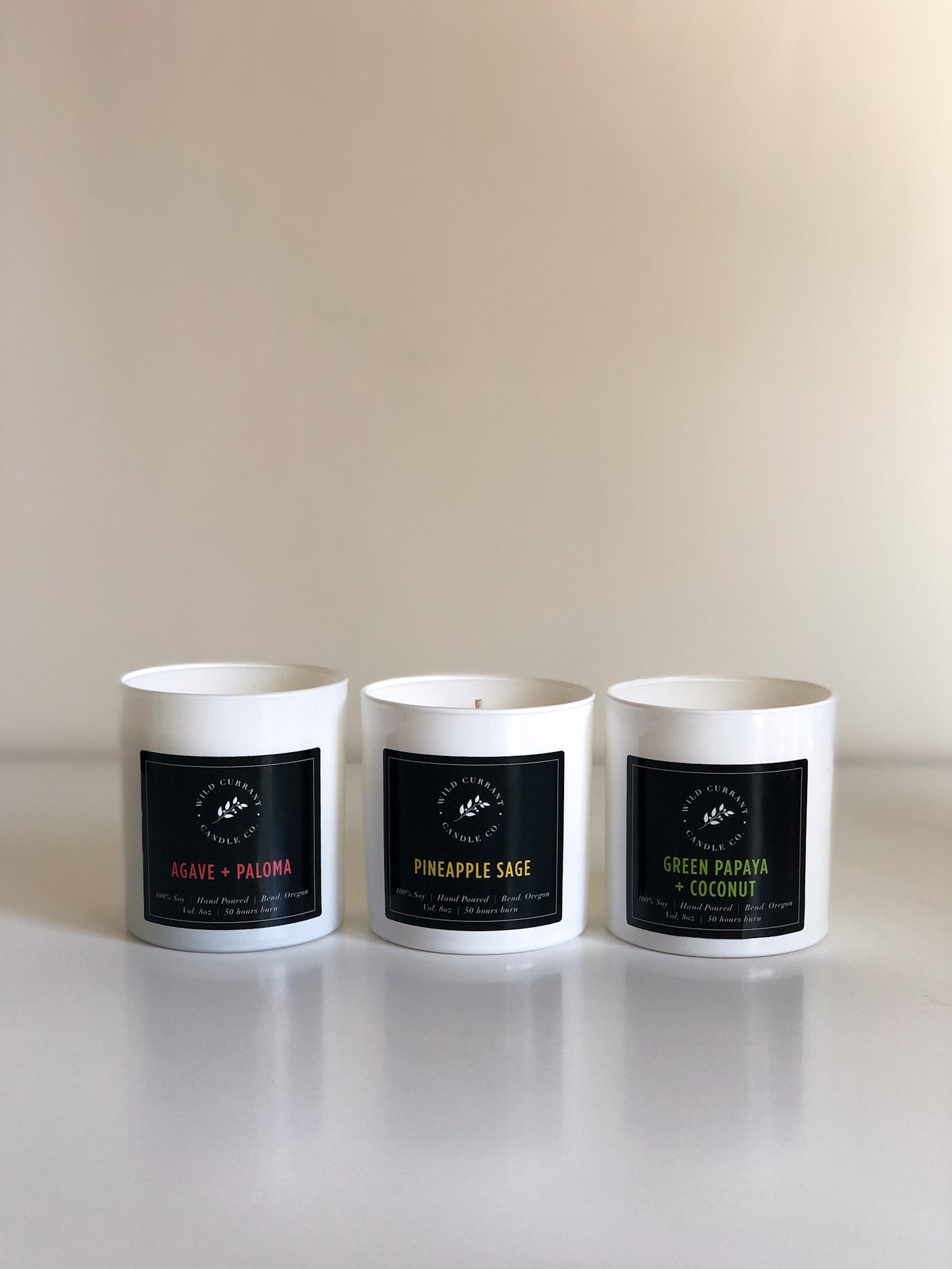 Tropical Getaway | 3 Pack